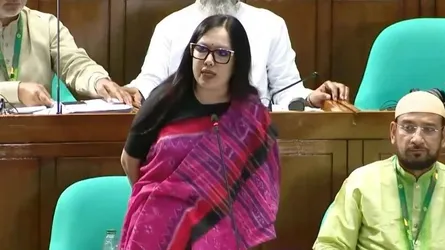 সংসদে যে আচরণ দেখছি, তা কোনো গণতান্ত্রিক দেশে হয় না: রুমিন