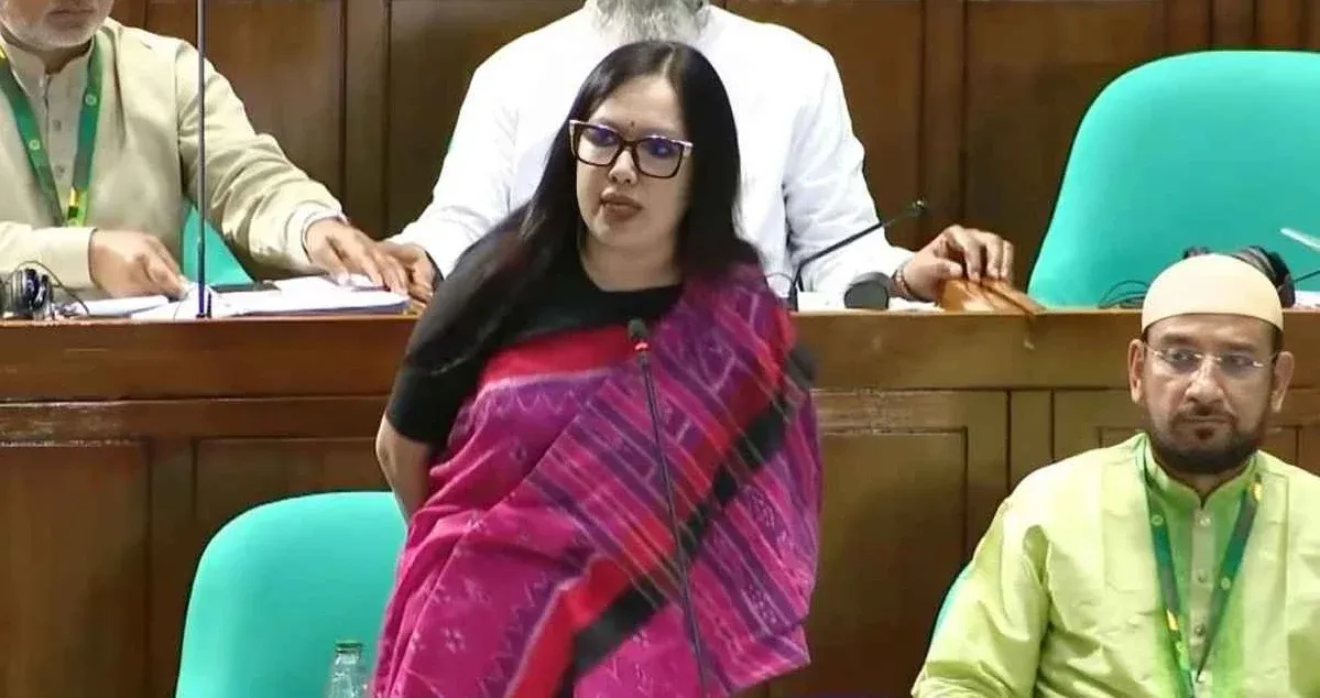 সংসদে যে আচরণ দেখছি, তা কোনো গণতান্ত্রিক দেশে হয় না: রুমিন