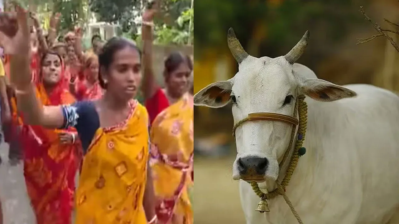 গরু কোরবানিতে নিষেধাজ্ঞায় বিপদে ভারতের হিন্দুরা