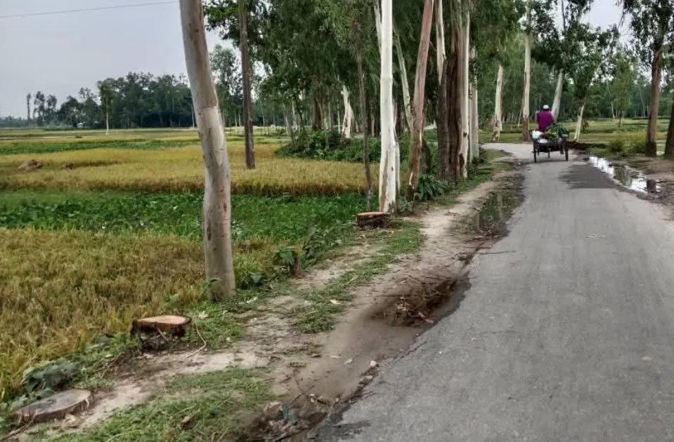 সরকারি গাছ কর্তনের অভিযোগে সাতজনের বিরুদ্ধে মামলা