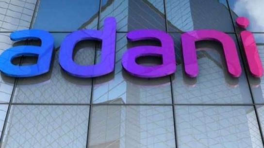 Govt speeds up Adani payments