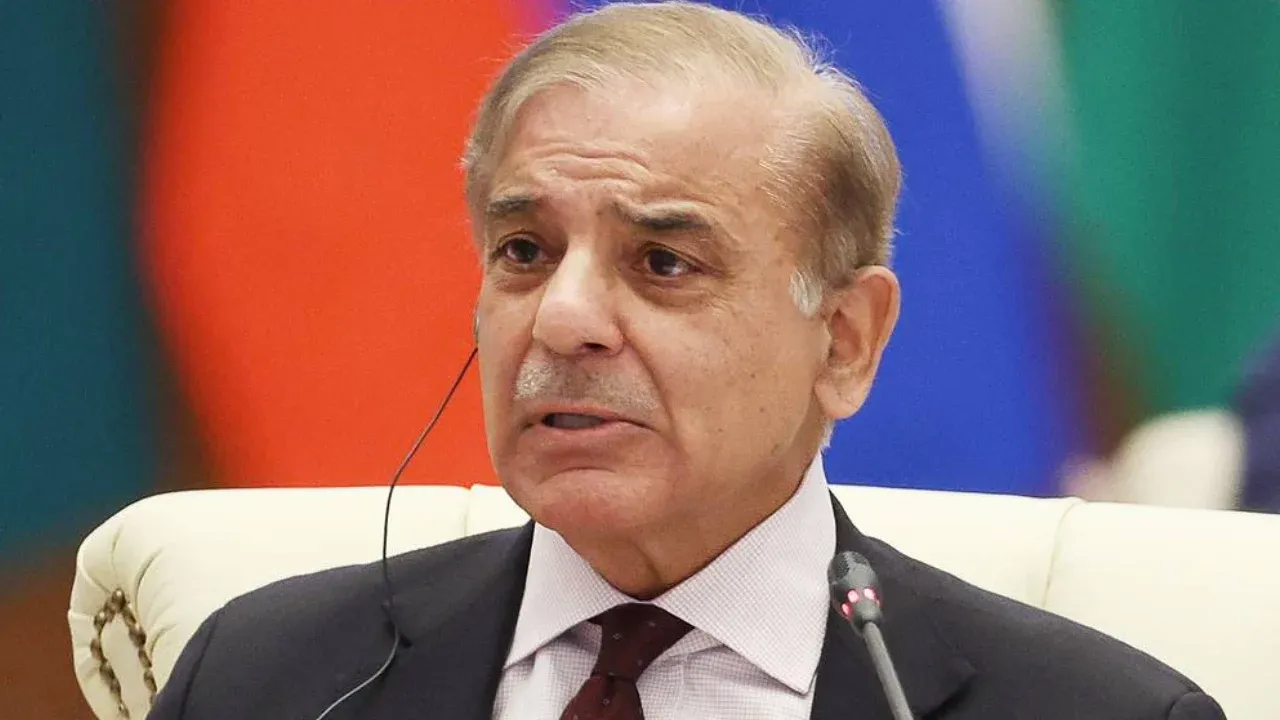 পিটিআইকে আলোচনার প্রস্তাব পাকিস্তানি প্রধানমন্ত্রীর