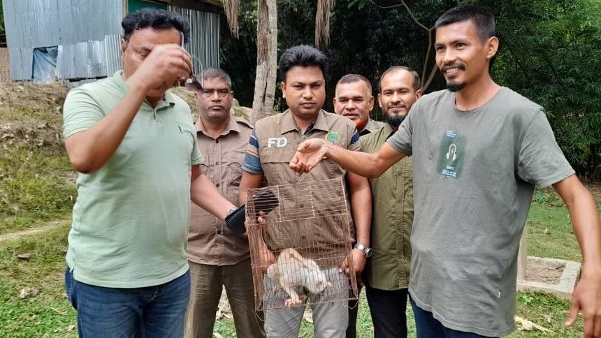 Slow loris rescued in Bandarban