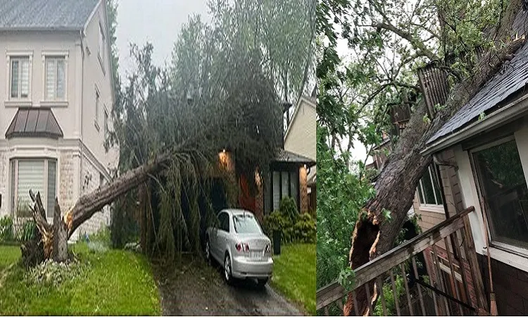 কানাডার দুই রাজ্য ঝড়ে বিপর্যস্ত, নিহত ৪