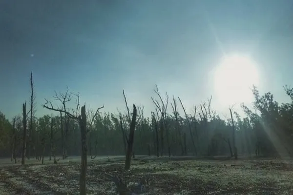 বাড়তে পারে রাত ও দিনের তাপমাত্রা