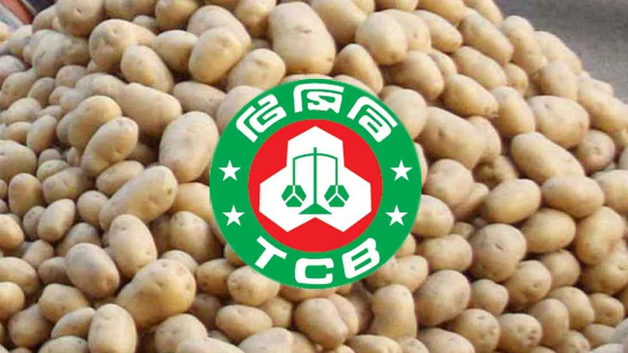 ৪০ টাকা কেজি দরে আলু বেচবে টিসিবি