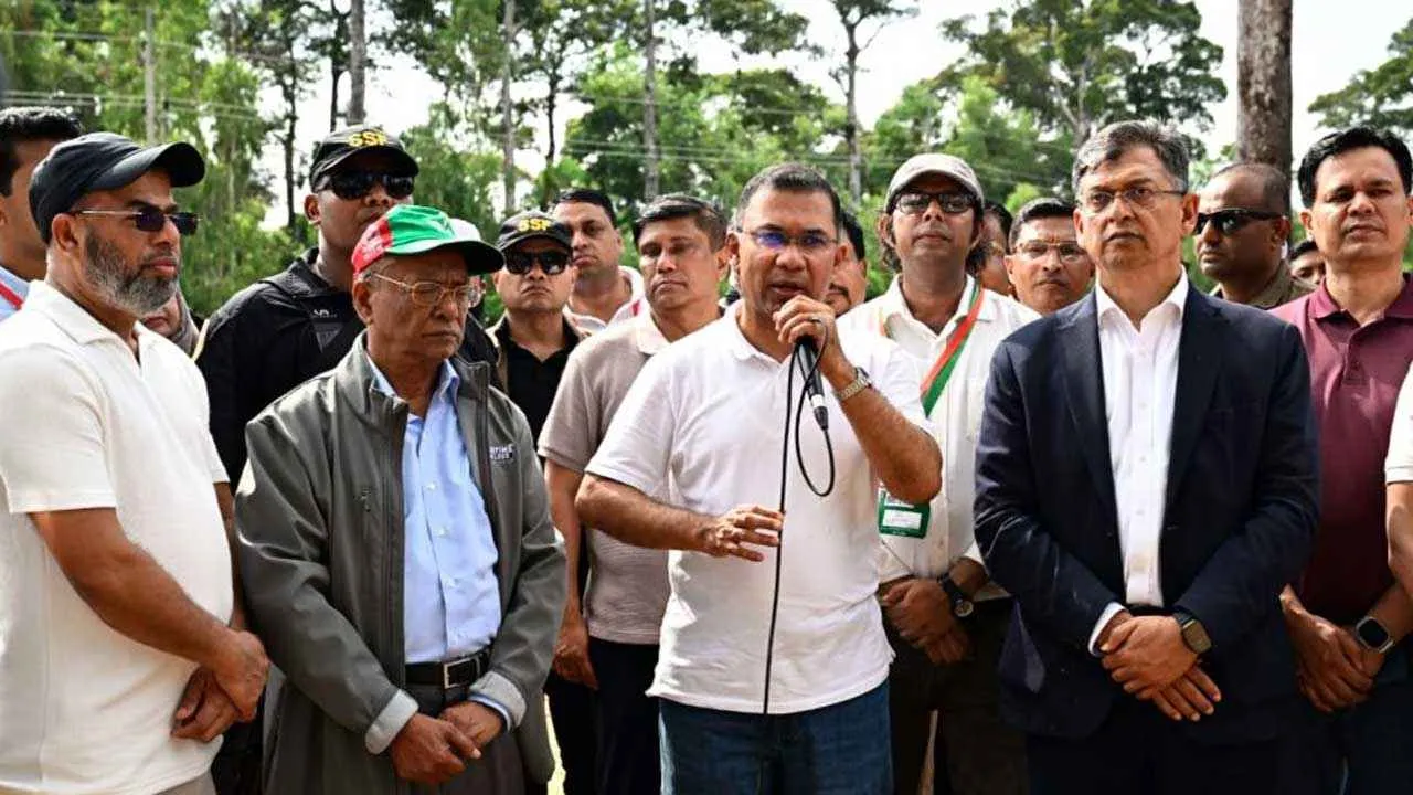 একটি করে গাছ লাগাই: প্রধানমন্ত্রী
