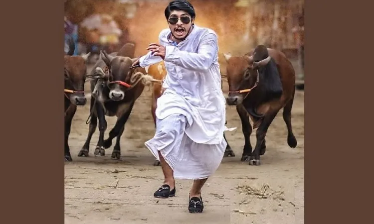 গরু নিয়ে বিপাকে তৌসিফ