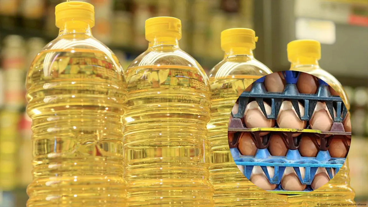 তেল ব্যবসায়ীদের শোকজ করেছে সরকার