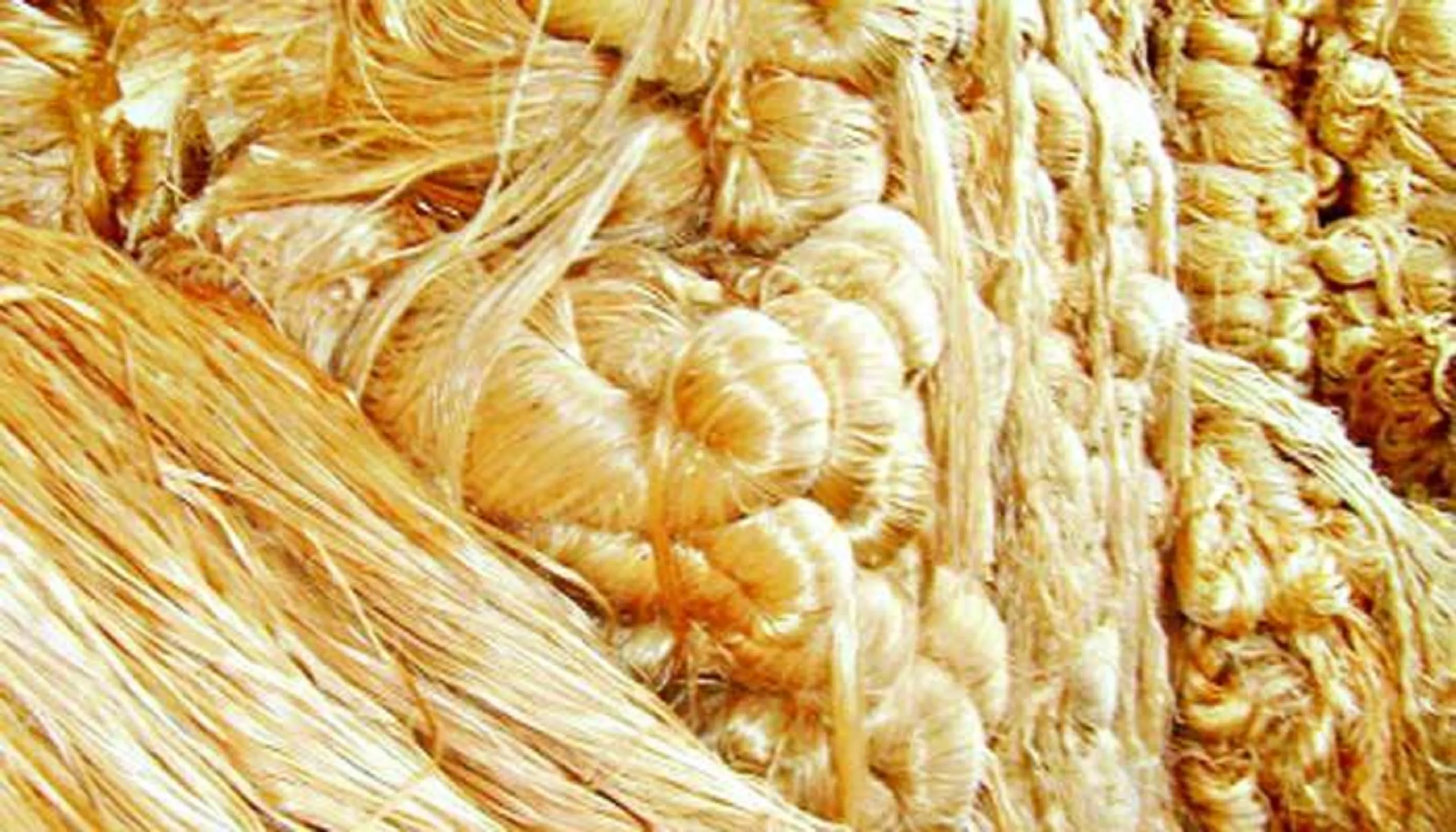 বস্তা-সুতাতেই আটকে পাটশিল্প