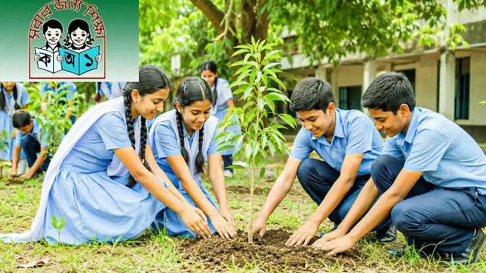 Tree-plantation-in-primary-school-6a54b12c2a7d5