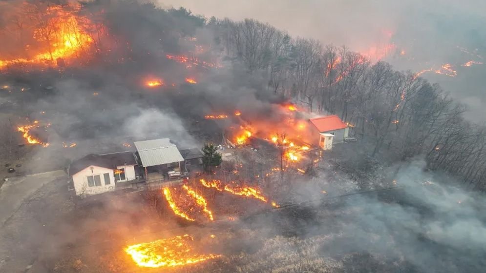US-wildfire-67e39ad01ee4e