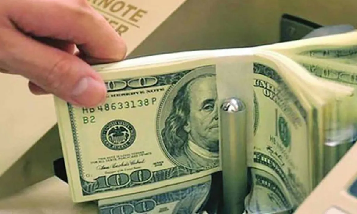 Remittance inflow witnesses 14.4pc growth till Oct 11