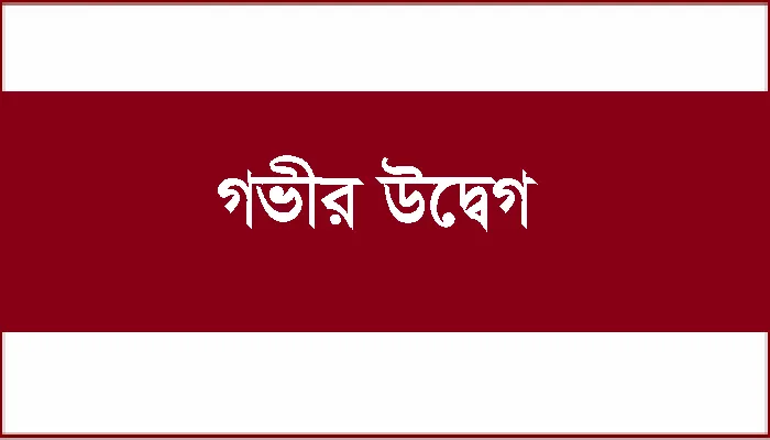 গণগ্রেফতার, রিমান্ড-নির্যাতন ও হতাহতের ঘটনায় সিনিয়র সাংবাদিকদের উদ্বেগ