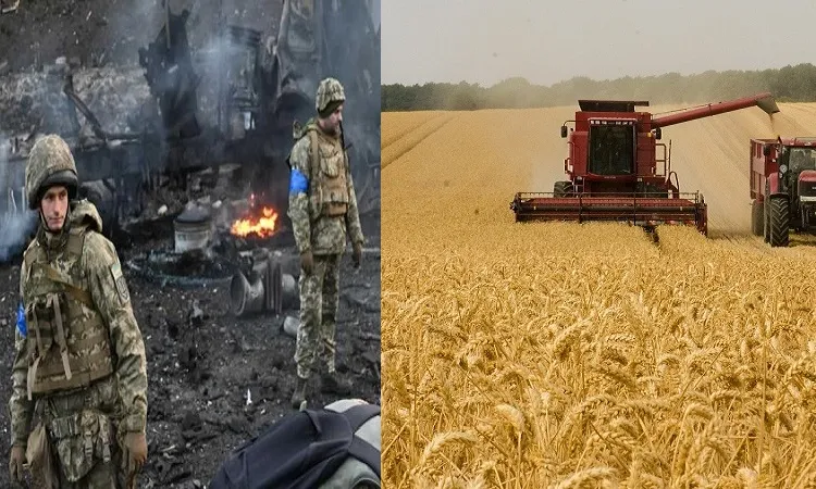 খাদ্যশস্য রফতানি চুক্তিতে যাচ্ছে রাশিয়া-ইউক্রেন