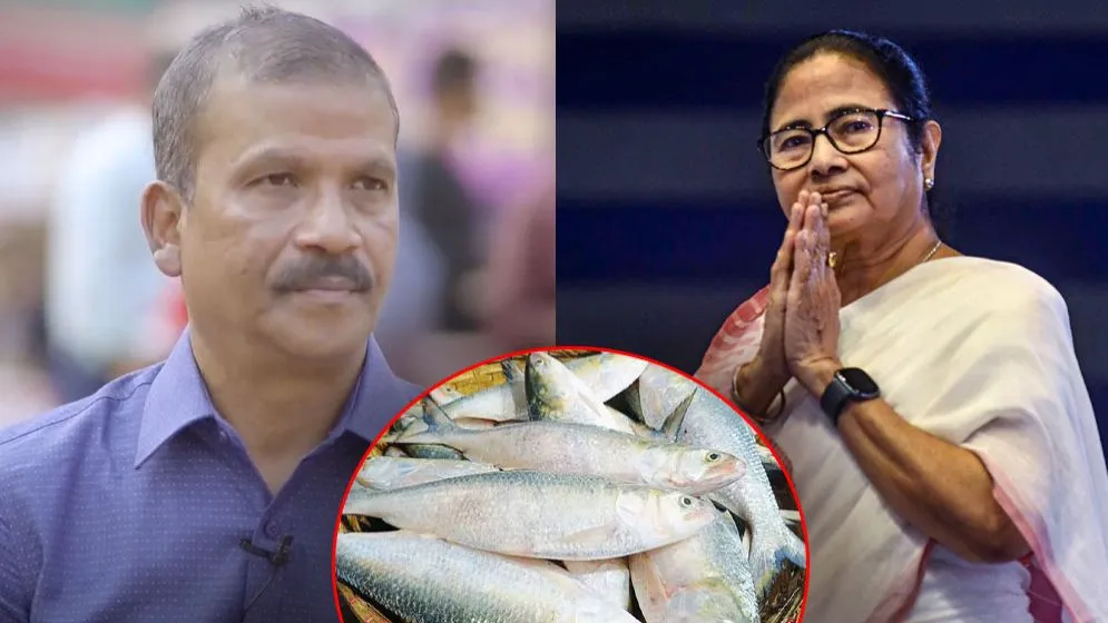 ইলিশ পাঠিয়ে মমতাকে রক্ষা করেছে ঢাকা : আসিফ নজরুল