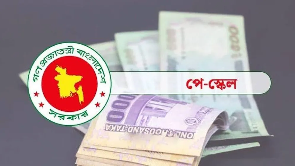 জুলাই থেকে কার্যকর নতুন পে স্কেল, বকেয়া যেভাবে পাবেন সরকারি চাকরিজীবীরা