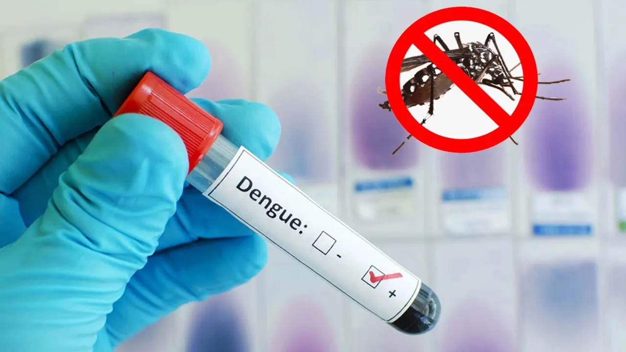 Five More Die of Dengue; 1,162 Hospitalized in 24 Hours