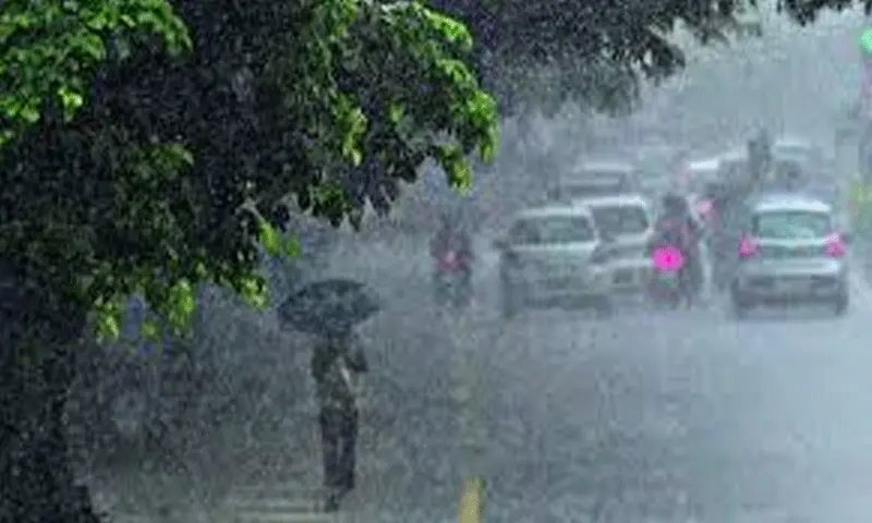 Weather Office Issues Heavy Rainfall Alert