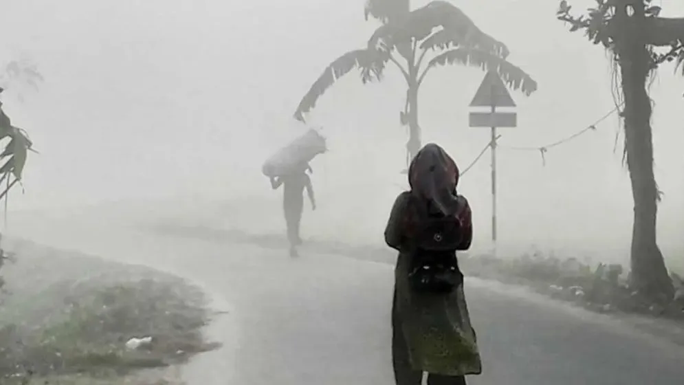 ভোরের কুয়াশায় শীতের পদধ্বনি