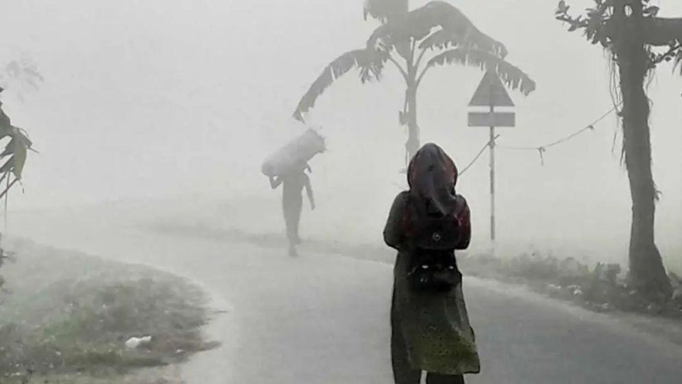 ভোরের কুয়াশায় শীতের পদধ্বনি