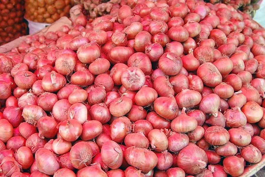 Govt may allow onion imports if prices remain high this week