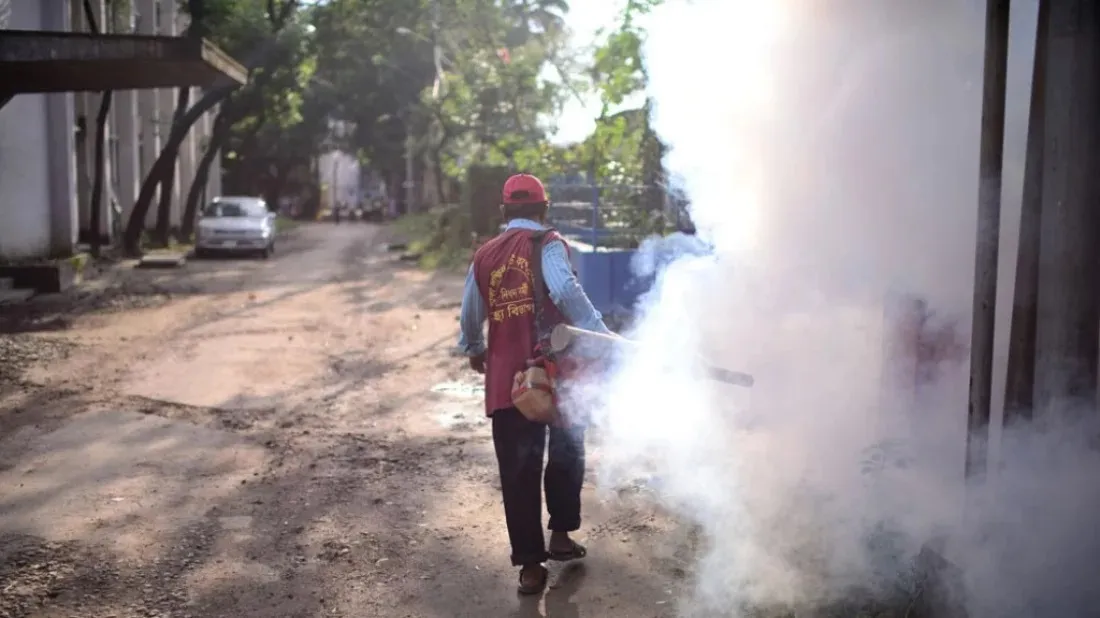 Which Dhaka wards are at high risk of dengue?