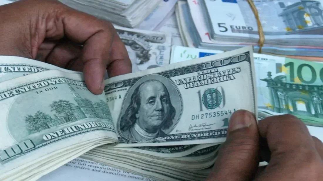 IOM: Migrant remittances outpace foreign investments in developing countries