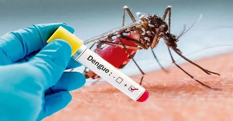 13 wards in Dhaka at high risk of dengue