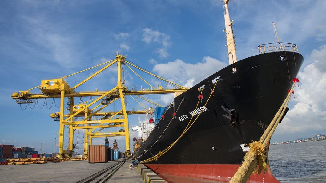 Exports rebound with 11.45% rise in January