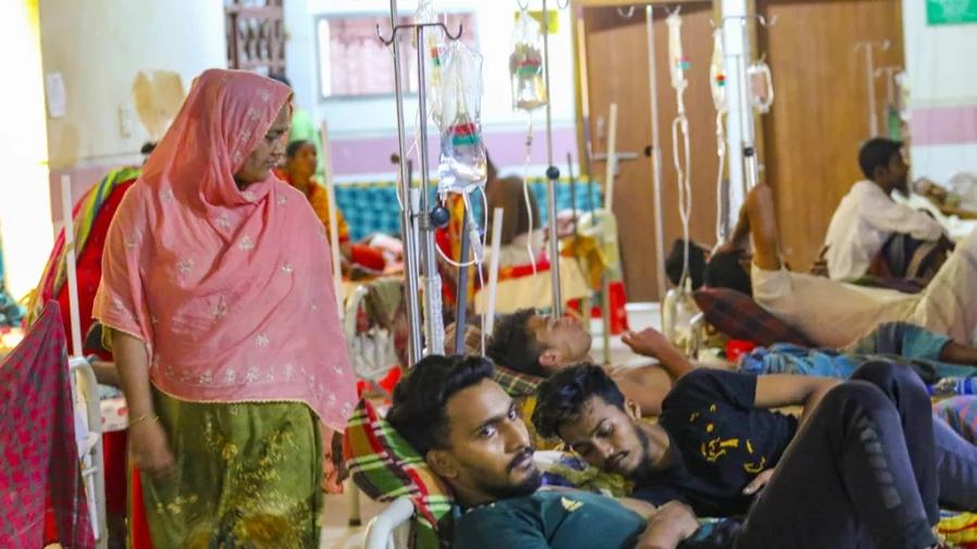 Dengue death toll crosses 1,100-mark