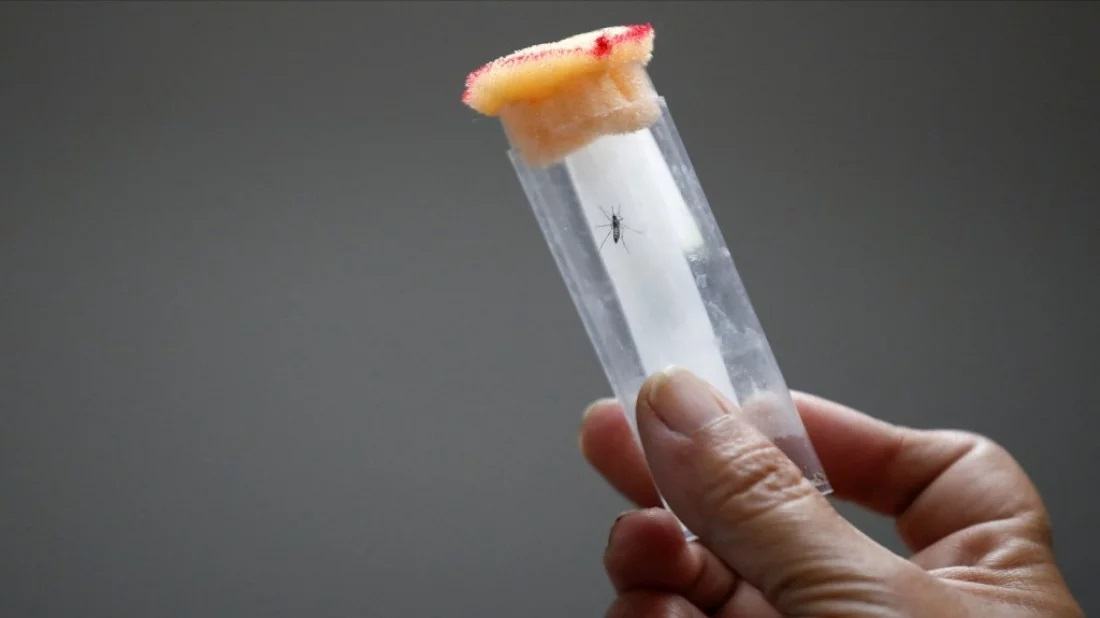 No import tax on dengue test kits