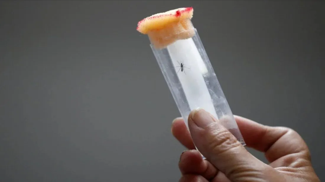 No import tax on dengue test kits