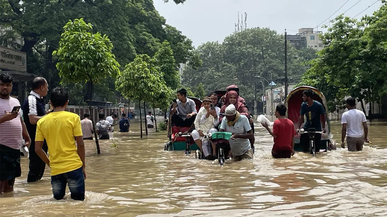 Heavy Rain Causes Severe Waterlogging in Newmarket Area