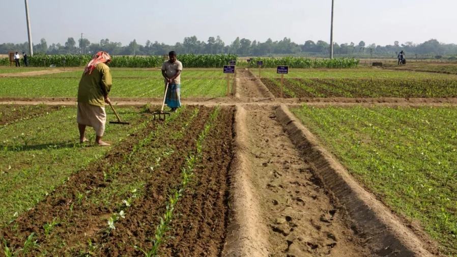Land Ministry: News on scrapping of digital land survey rumour