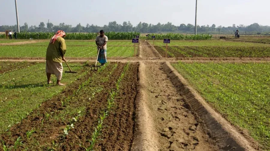 Land Ministry: News on scrapping of digital land survey rumour