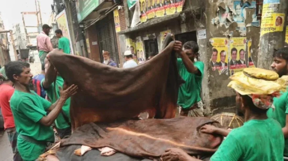 Govt fixes cowhide prices ahead of Eid-ul-Azha