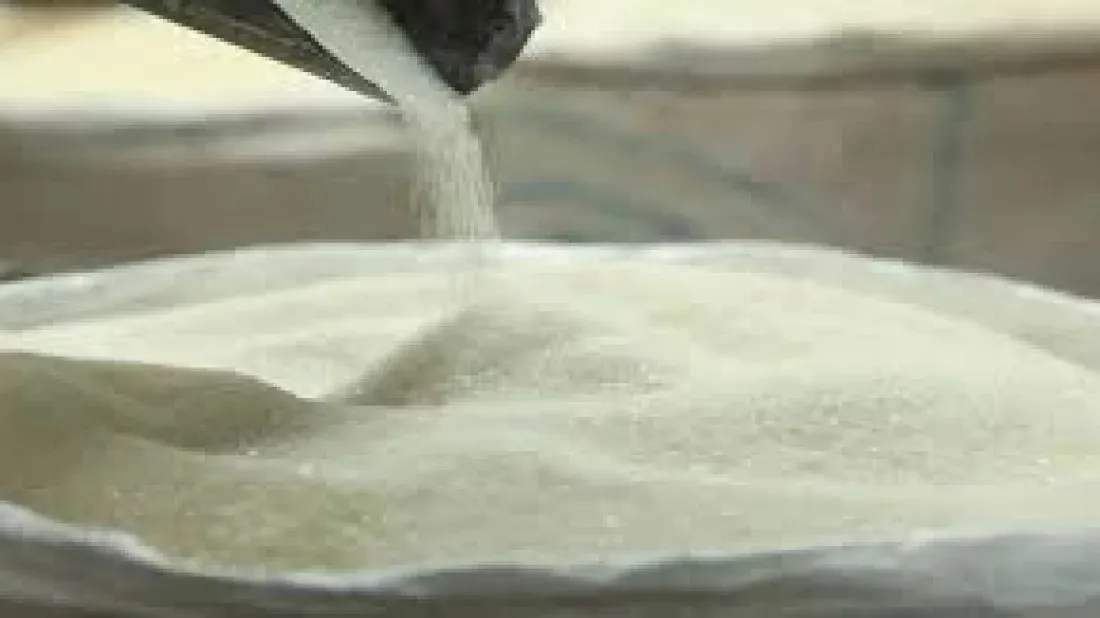 Biggest Indian sugar consignment seized in Sylhet