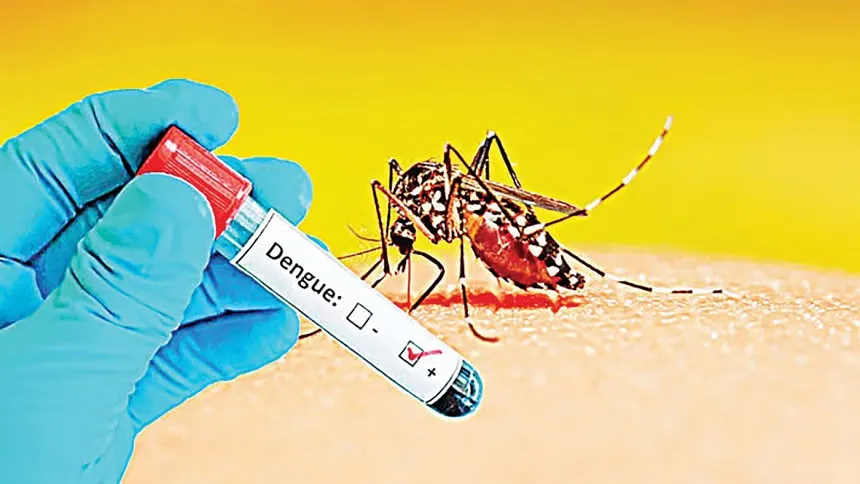 Dengue cases see sharp rise in early July
