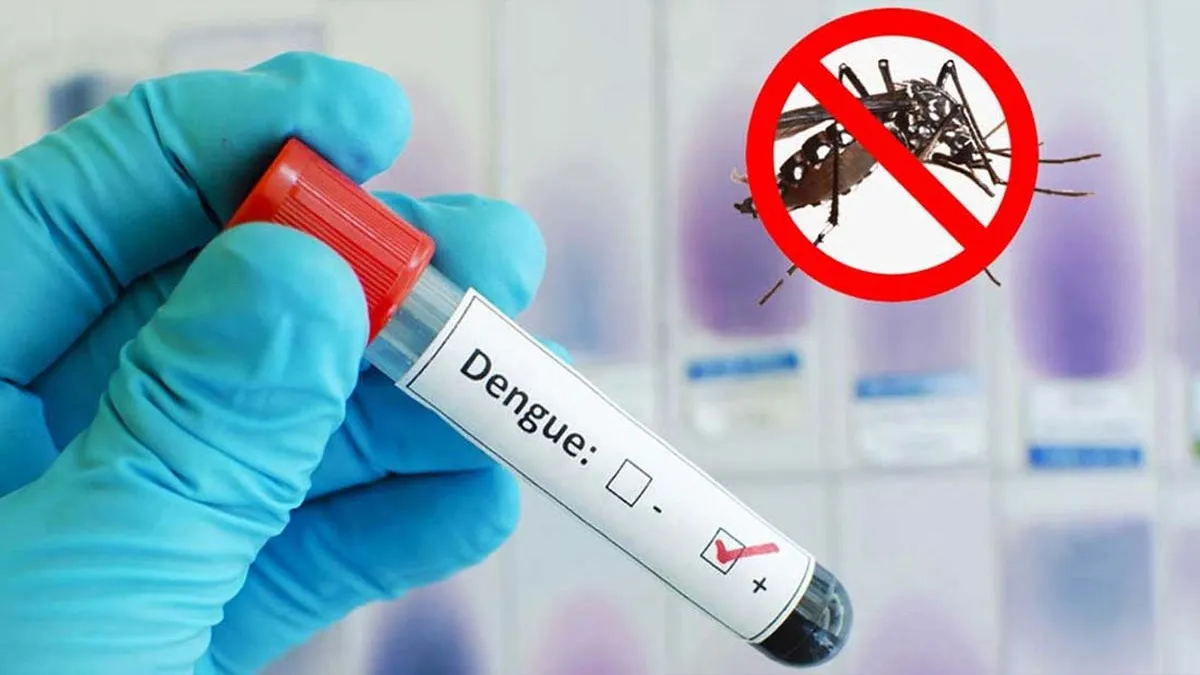 2 more die of dengue, 330 hospitalized