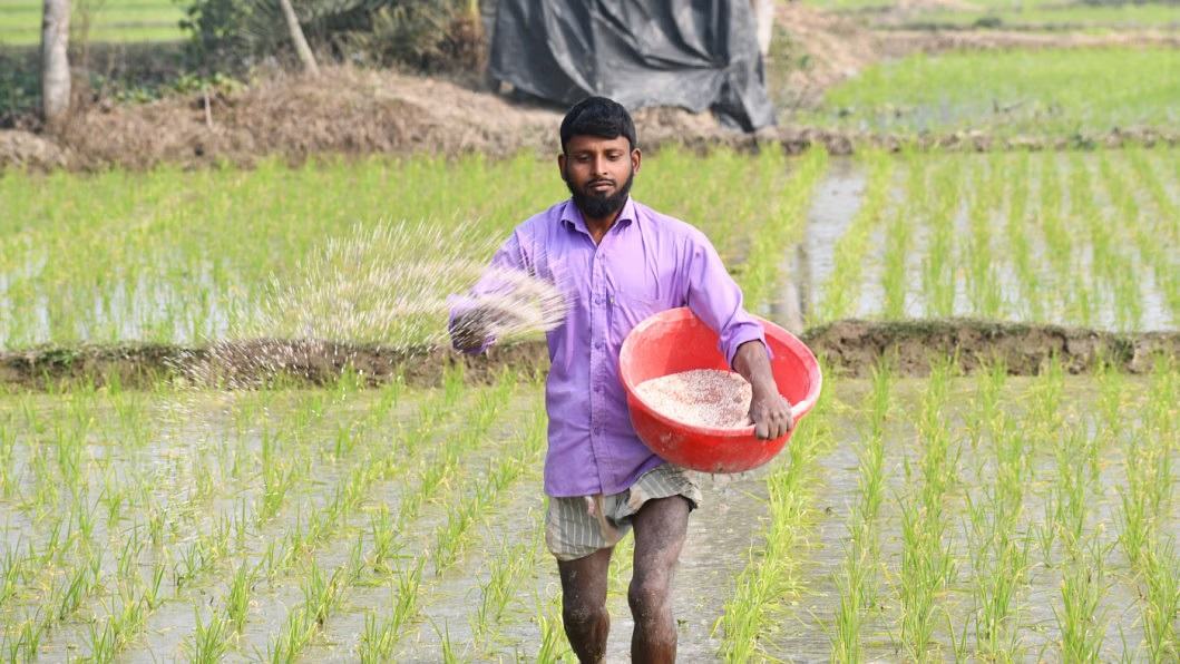 Govt to import 60,000 tonnes of granular urea at Tk 251 crore