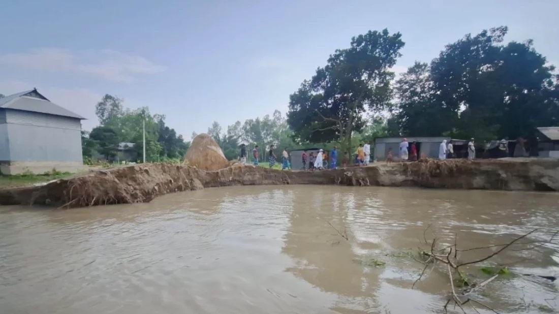 Brahmaputra, Dashani erosion devastates Sherpur's Char residents