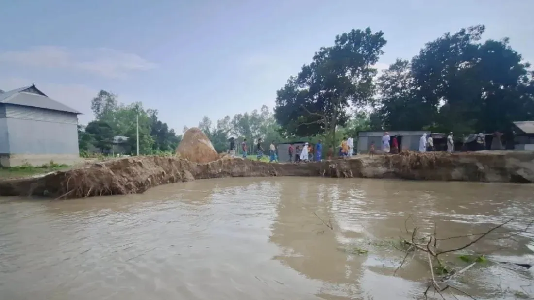 Brahmaputra, Dashani erosion devastates Sherpur's Char residents