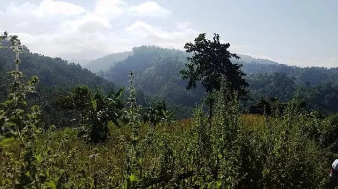 Landslide fears grow in Khagrachhari as 72-hour rainfall alert issued