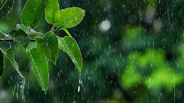 Moderate rain likely in two divisions