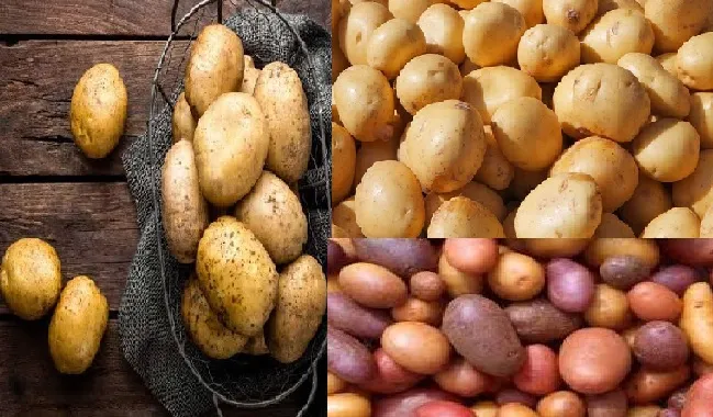 চালের চেয়ে আলুর দাম বেশি, নেপথ্যে কী?