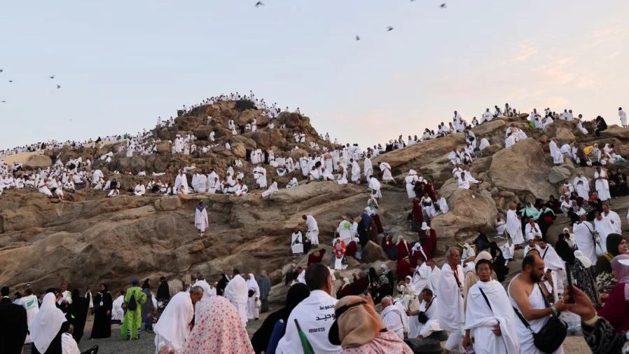 Muslim pilgrims pray on Mount Arafat in Hajj climax