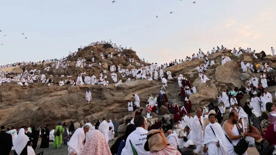 Muslim pilgrims pray on Mount Arafat in Hajj climax