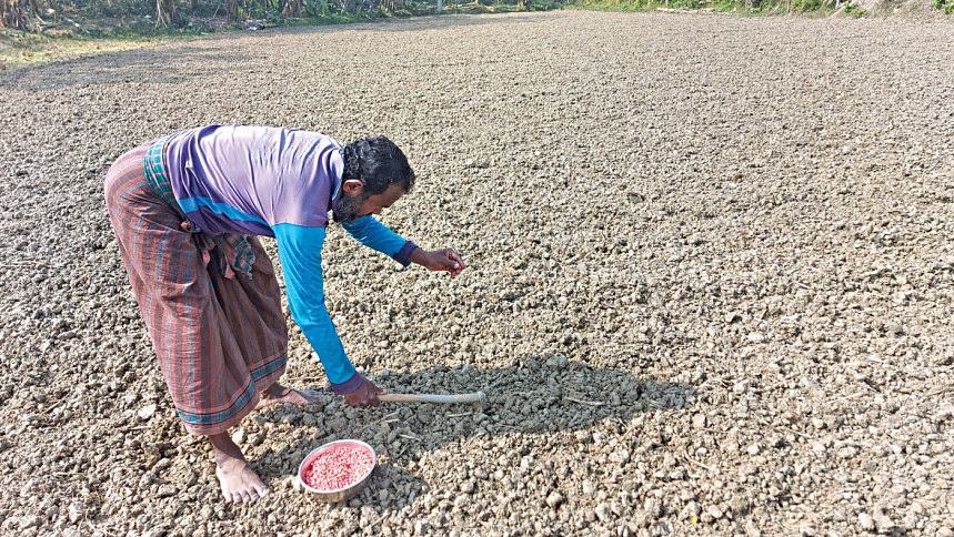 Agri minister seeks high-yielding Indian seeds