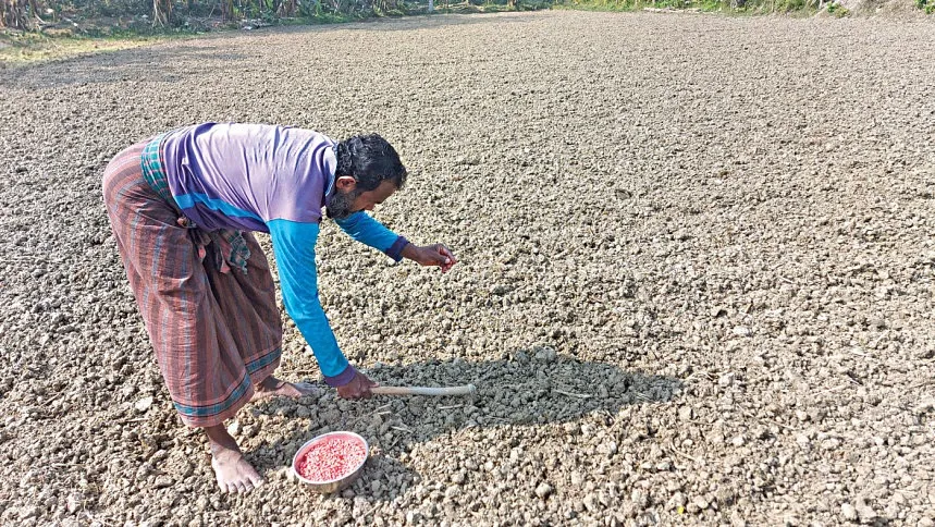 Agri minister seeks high-yielding Indian seeds